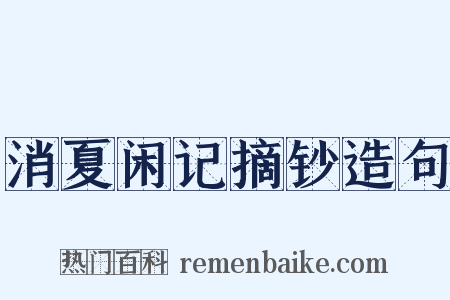 消夏闲记摘钞造句是什么意思的图片